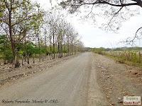 Higuerillas -Guanacaste- a Punta Morales -Puntarenas- Higuerillas -Guanacaste- a Punta Morales -Puntarenas-