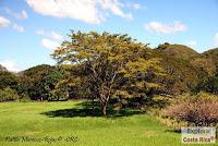 Higuerillas -Guanacaste- a Punta Morales -Puntarenas- Higuerillas -Guanacaste- a Punta Morales -Puntarenas-