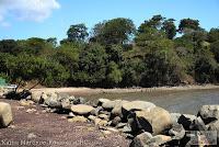 Higuerillas -Guanacaste- a Punta Morales -Puntarenas- Higuerillas -Guanacaste- a Punta Morales -Puntarenas-