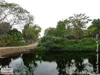Higuerillas -Guanacaste- a Punta Morales -Puntarenas- Higuerillas -Guanacaste- a Punta Morales -Puntarenas-