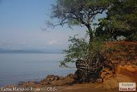 Higuerillas -Guanacaste- a Punta Morales -Puntarenas- Higuerillas -Guanacaste- a Punta Morales -Puntarenas-