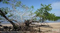 Higuerillas -Guanacaste- a Punta Morales -Puntarenas- Higuerillas -Guanacaste- a Punta Morales -Puntarenas-
