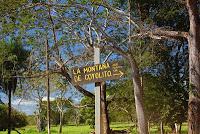 Higuerillas -Guanacaste- a Punta Morales -Puntarenas- Higuerillas -Guanacaste- a Punta Morales -Puntarenas-