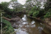 Higuerillas -Guanacaste- a Punta Morales -Puntarenas- Higuerillas -Guanacaste- a Punta Morales -Puntarenas-