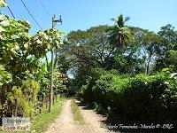 Higuerillas -Guanacaste- a Punta Morales -Puntarenas- Higuerillas -Guanacaste- a Punta Morales -Puntarenas-