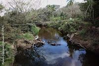Higuerillas -Guanacaste- a Punta Morales -Puntarenas- Higuerillas -Guanacaste- a Punta Morales -Puntarenas-