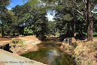 Higuerillas -Guanacaste- a Punta Morales -Puntarenas- Higuerillas -Guanacaste- a Punta Morales -Puntarenas-