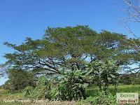 Higuerillas -Guanacaste- a Punta Morales -Puntarenas- Higuerillas -Guanacaste- a Punta Morales -Puntarenas-