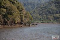 Higuerillas -Guanacaste- a Punta Morales -Puntarenas- Higuerillas -Guanacaste- a Punta Morales -Puntarenas-