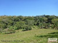 Higuerillas -Guanacaste- a Punta Morales -Puntarenas- Higuerillas -Guanacaste- a Punta Morales -Puntarenas-