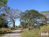 Higuerillas -Guanacaste- a Punta Morales -Puntarenas- Higuerillas -Guanacaste- a Punta Morales -Puntarenas-