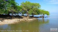 Higuerillas -Guanacaste- a Punta Morales -Puntarenas- Higuerillas -Guanacaste- a Punta Morales -Puntarenas-