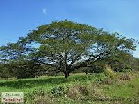 Higuerillas -Guanacaste- a Punta Morales -Puntarenas- Higuerillas -Guanacaste- a Punta Morales -Puntarenas-