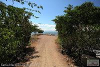 Higuerillas -Guanacaste- a Punta Morales -Puntarenas- Higuerillas -Guanacaste- a Punta Morales -Puntarenas-
