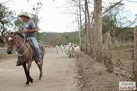Higuerillas -Guanacaste- a Punta Morales -Puntarenas- Higuerillas -Guanacaste- a Punta Morales -Puntarenas-