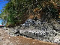 Higuerillas -Guanacaste- a Punta Morales -Puntarenas- Higuerillas -Guanacaste- a Punta Morales -Puntarenas-