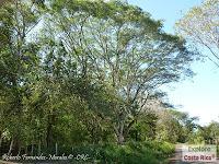 Higuerillas -Guanacaste- a Punta Morales -Puntarenas- Higuerillas -Guanacaste- a Punta Morales -Puntarenas-