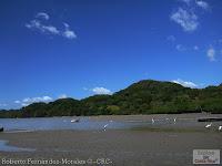 Higuerillas -Guanacaste- a Punta Morales -Puntarenas- Higuerillas -Guanacaste- a Punta Morales -Puntarenas-