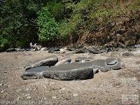 Higuerillas -Guanacaste- a Punta Morales -Puntarenas- Higuerillas -Guanacaste- a Punta Morales -Puntarenas-