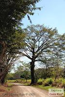 Higuerillas -Guanacaste- a Punta Morales -Puntarenas- Higuerillas -Guanacaste- a Punta Morales -Puntarenas-
