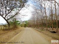 Higuerillas -Guanacaste- a Punta Morales -Puntarenas- Higuerillas -Guanacaste- a Punta Morales -Puntarenas-