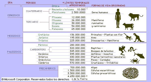 ¿Podría la vida haber comenzado en Marte? ¿Podría la vida haber comenzado en Marte?