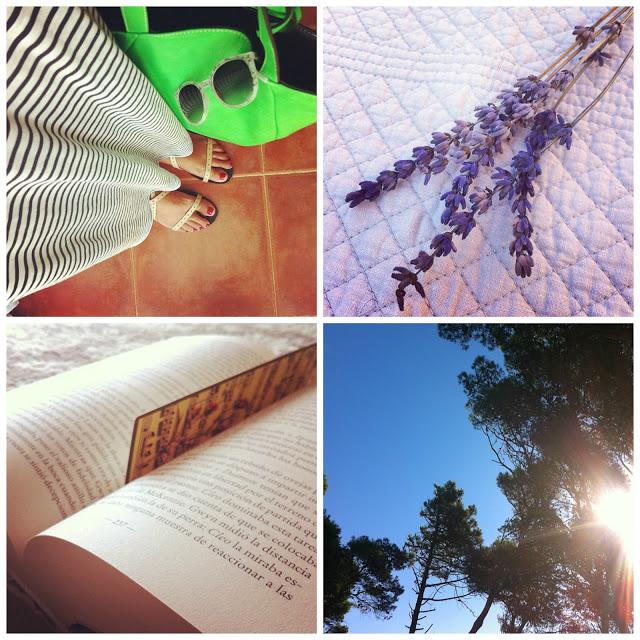 mi veranito - my summer mi veranito - my summer