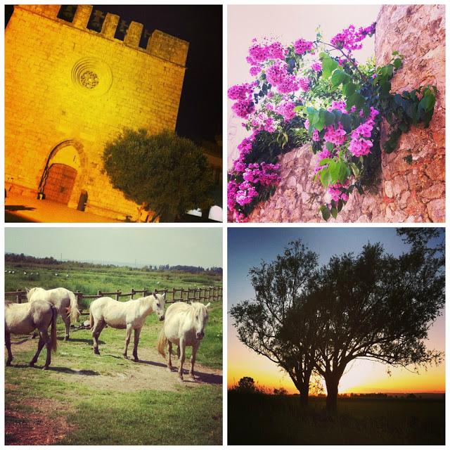 mi veranito - my summer mi veranito - my summer