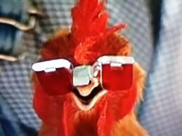 Unas gafas de sol para los pollos más chulos del gallinero Unas gafas de sol para los pollos más chulos del gallinero