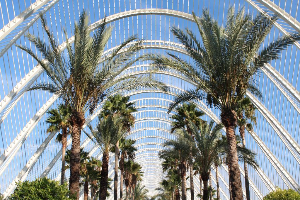 Valencia Day 1 photo IMG_1832_zps57794dab.jpg