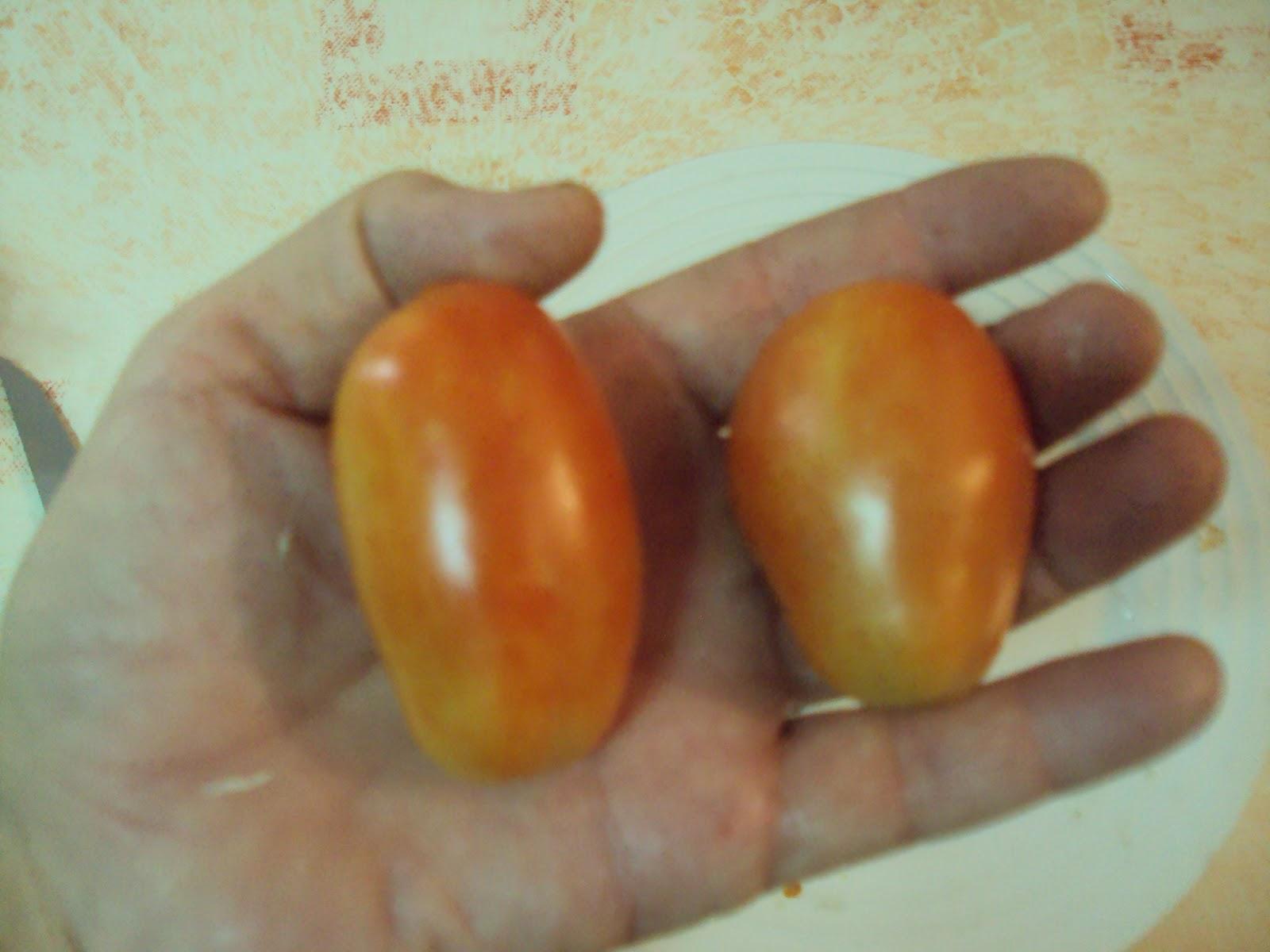 VARIEDADES DE TOMATES VARIEDADES DE TOMATES