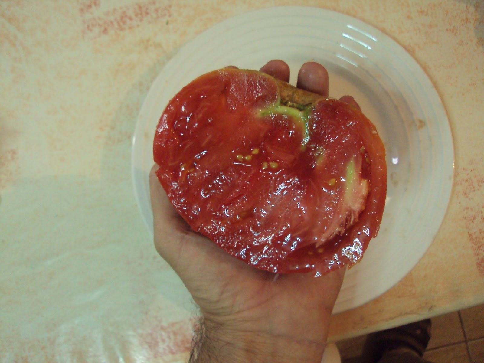 VARIEDADES DE TOMATES VARIEDADES DE TOMATES