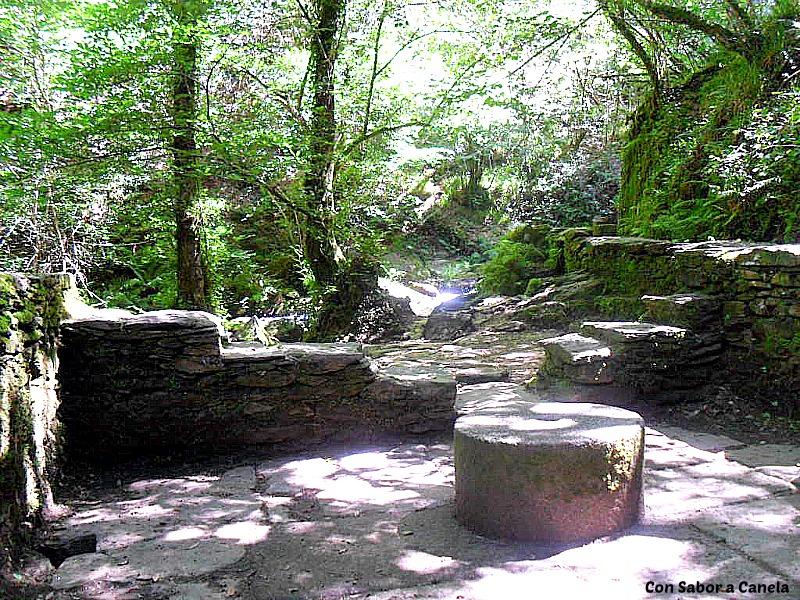 Fragas do Eume, un bosque con encanto Fragas do Eume, un bosque con encanto
