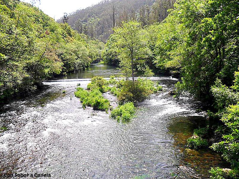Fragas do Eume, un bosque con encanto Fragas do Eume, un bosque con encanto