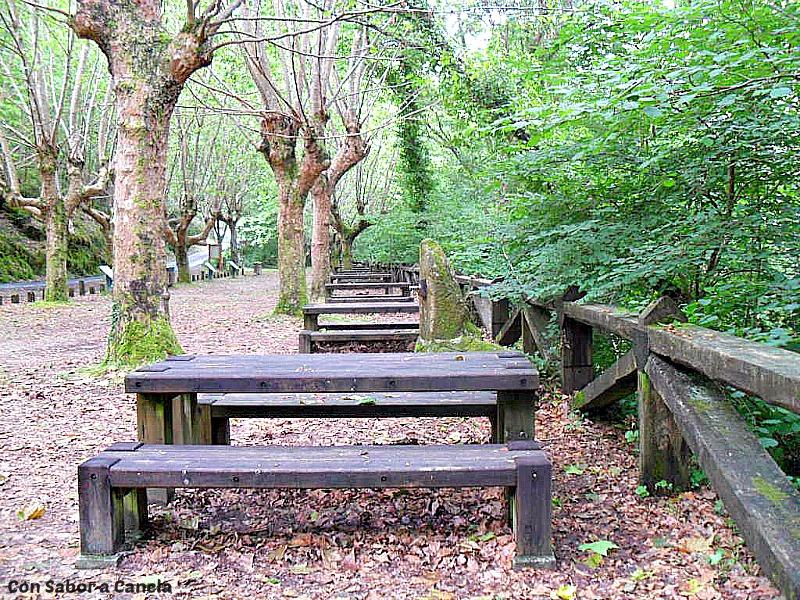 Fragas do Eume, un bosque con encanto Fragas do Eume, un bosque con encanto