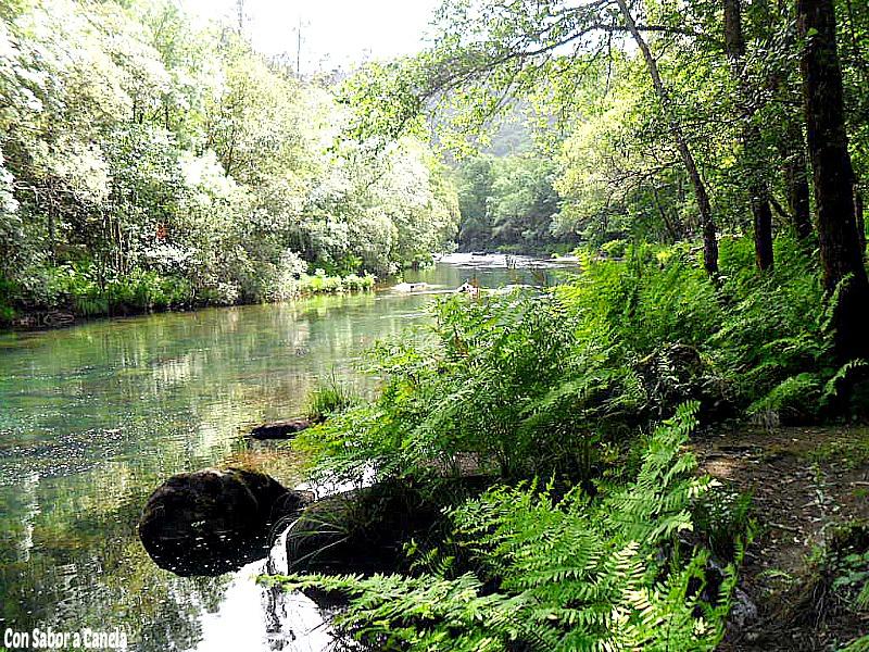 Fragas do Eume, un bosque con encanto Fragas do Eume, un bosque con encanto