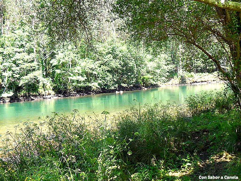 Fragas do Eume, un bosque con encanto Fragas do Eume, un bosque con encanto