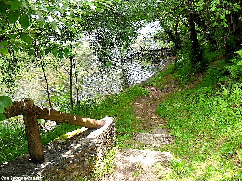 Fragas do Eume, un bosque con encanto Fragas do Eume, un bosque con encanto