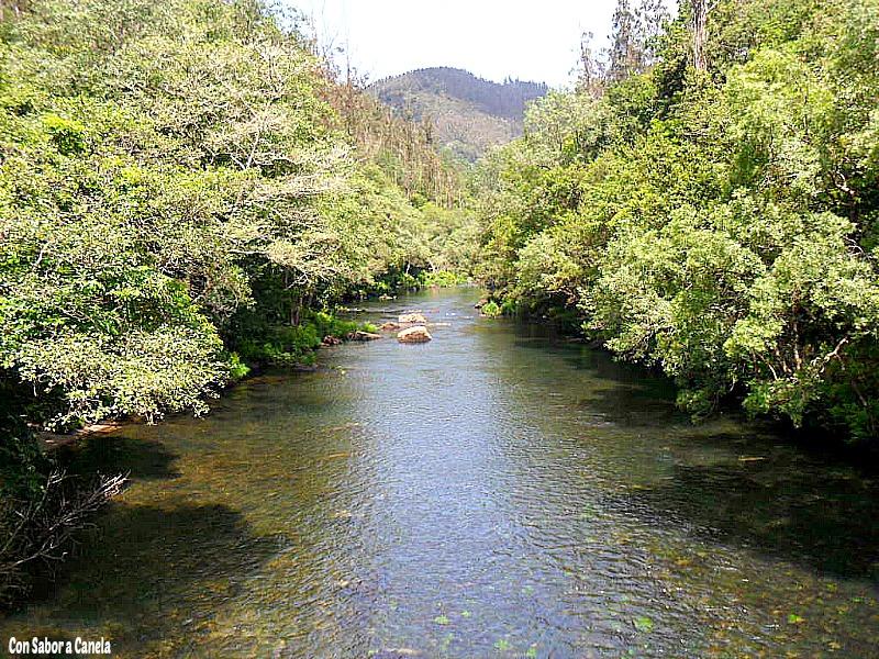 Fragas do Eume, un bosque con encanto Fragas do Eume, un bosque con encanto