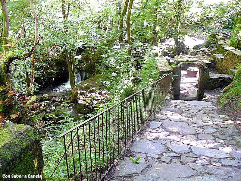 Fragas do Eume, un bosque con encanto Fragas do Eume, un bosque con encanto