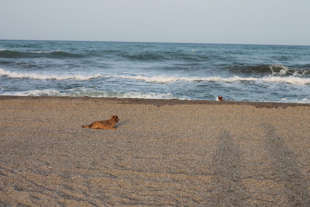 Goodbye Summer!!! photo 9-146.jpg