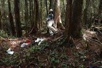 Aokigahara, el bosque de los suicidas Aokigahara, el bosque de los suicidas