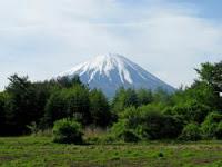 Aokigahara, el bosque de los suicidas Aokigahara, el bosque de los suicidas