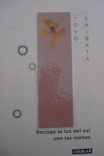 'Recoge la luz del sol con las manos', de Toyo Shibata 'Recoge la luz del sol con las manos', de Toyo Shibata