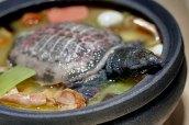 Cocina Anhui Gastronomía asiática, las cocinas de China