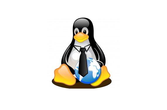 ¿Quién usa Linux? Famosos, organizaciones, empresas, hackers,...