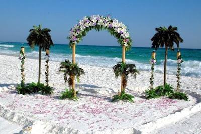 COMO ORGANIZAR TU BODA COMO ORGANIZAR TU BODA