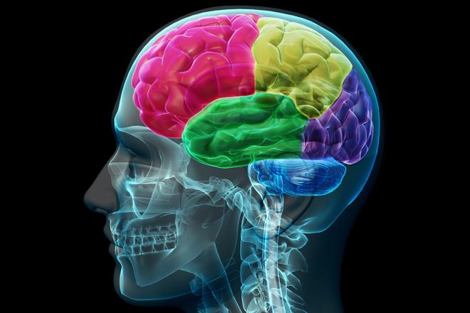 Neuromarketing Neuromarketing