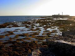 La Caleta, marea baja