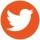 Twitter ”twitter”
